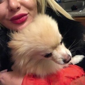 Meet your Posher, Anda